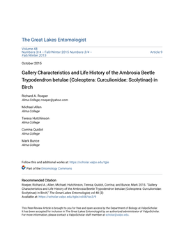 Gallery Characteristics and Life History of the Ambrosia Beetle Trypodendron Betulae (Coleoptera: Curculionidae: Scolytinae) in Birch