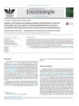 Studies on Brazilian Pseudophasmatidae (Phasmatodea) with The