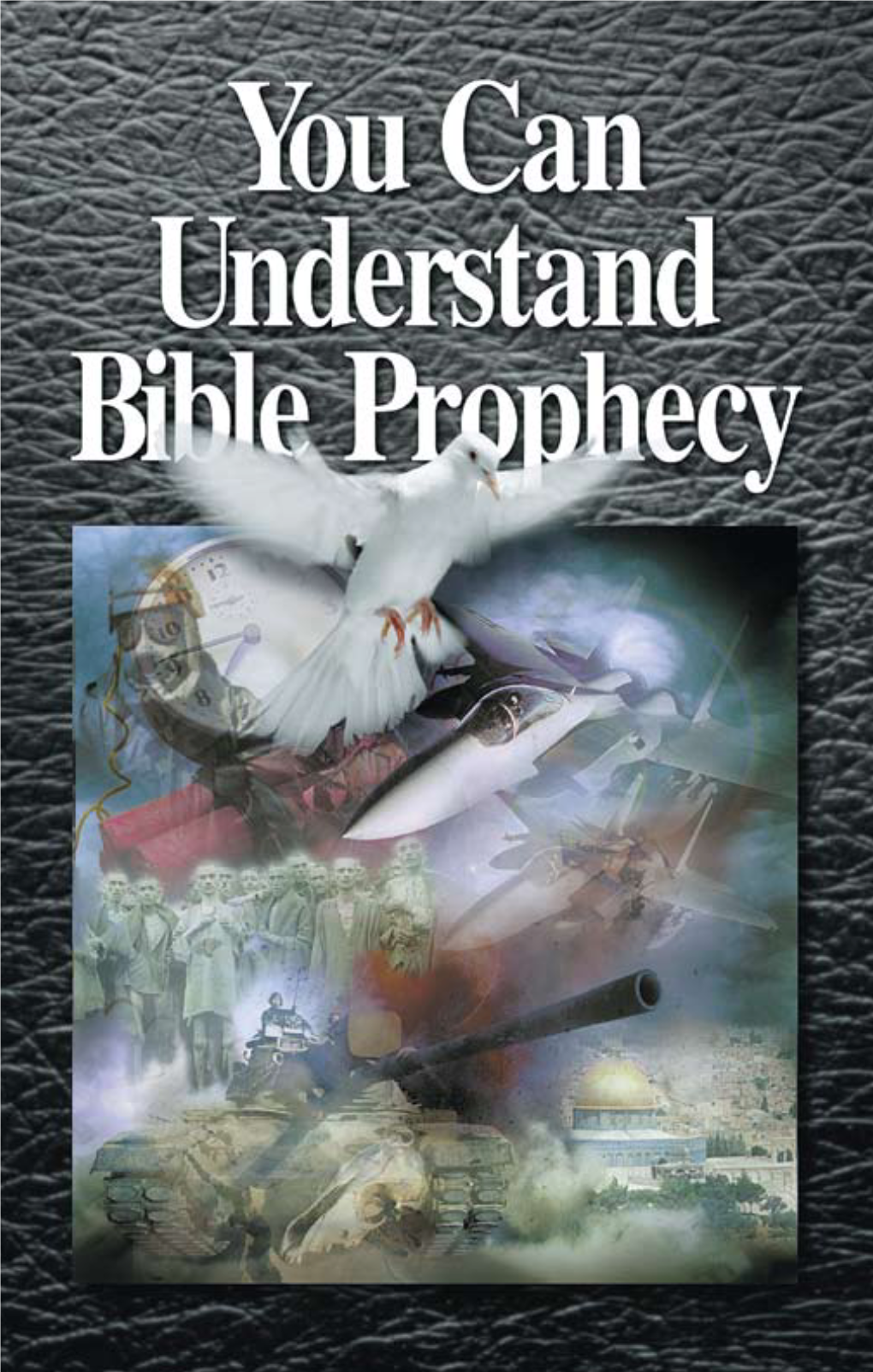 You Can Understand Bible Prophecy