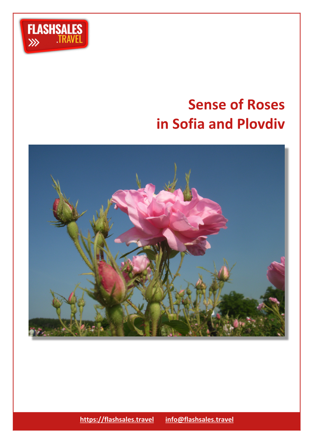 Sense of Roses in Sofia and Plovdiv