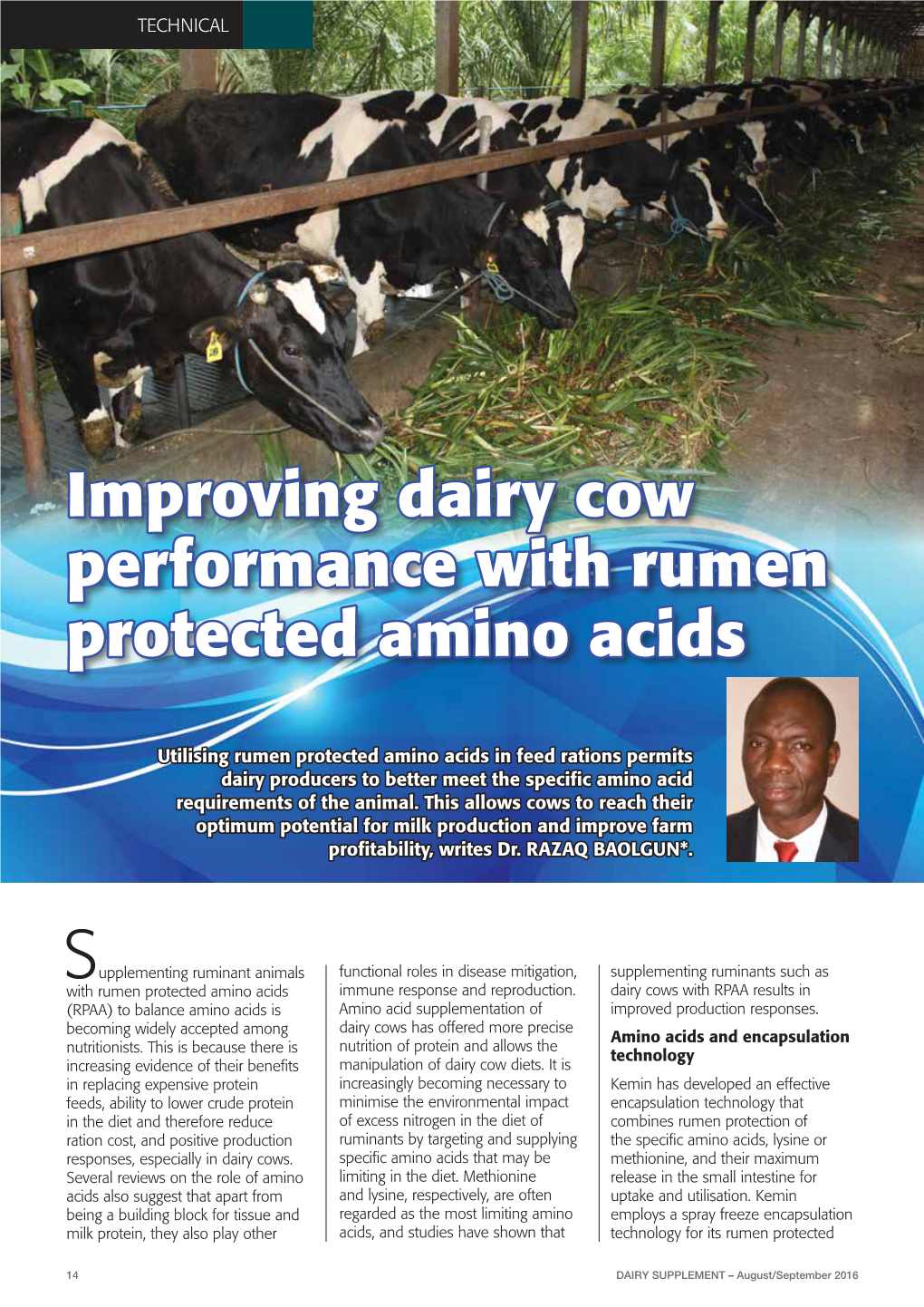 Improving Dairy Cow Performance with Rumen Protected Amino Acids