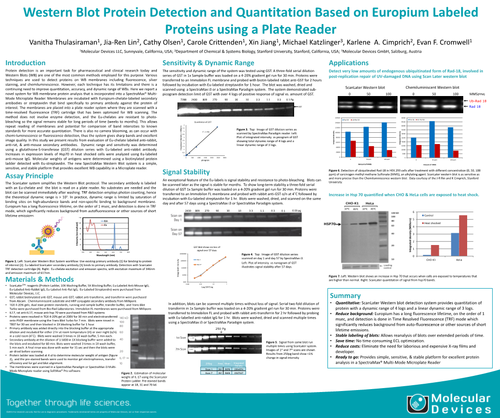Western Blot Protein Detection and Quantitation | Molecular Devices