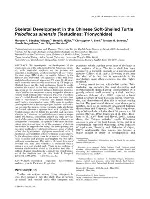 Skeletal Development in the Chinese Soft-Shelled Turtle Pelodiscus Sinensis (Testudines: Trionychidae)