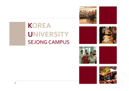 Korea University Sejong Campus ITS Program Brochure (PDF)