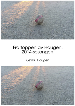 2014-Sesongen