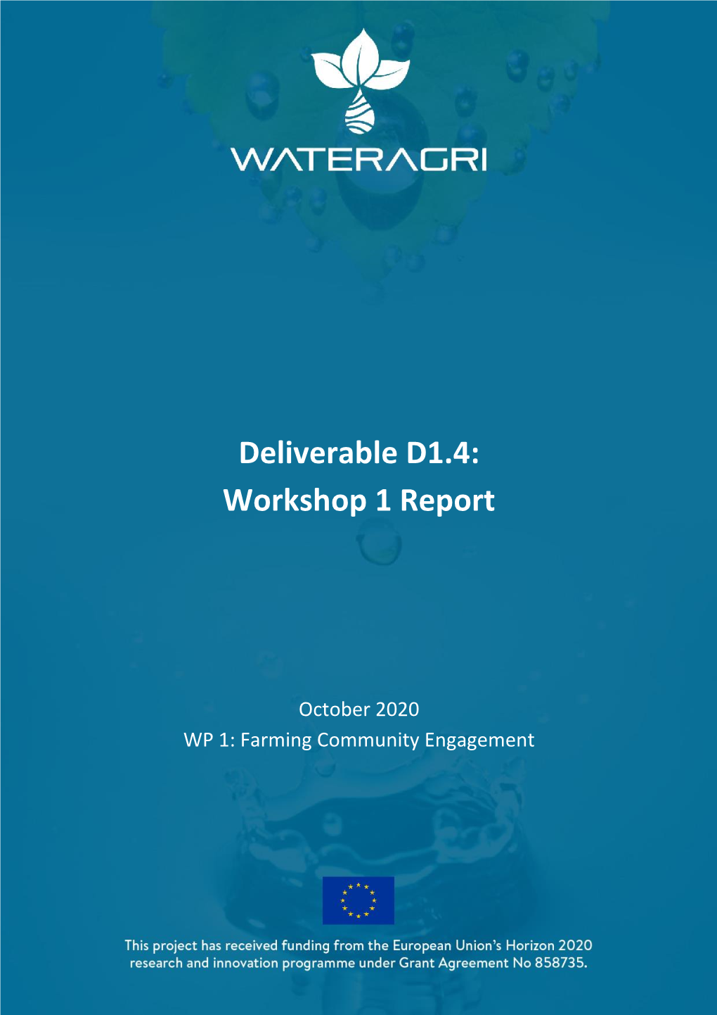 Deliverable D1.4: Workshop 1 Report