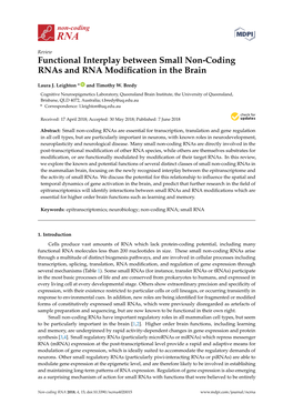 Functional Interplay Between Small Non-Coding Rnas and RNA Modiﬁcation in the Brain