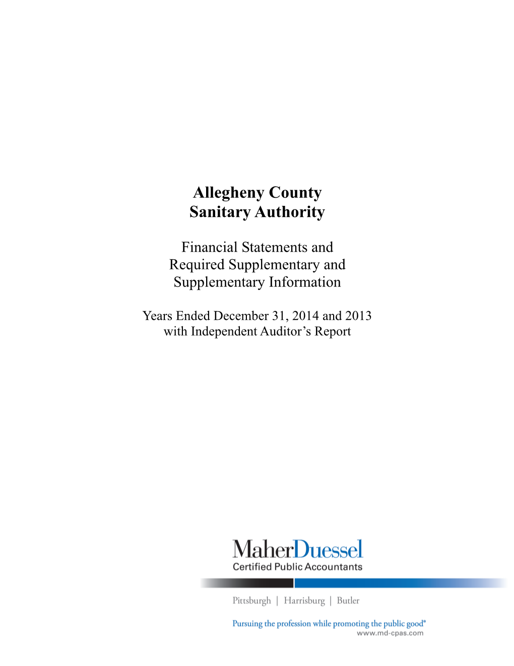 Audited Financial Statement