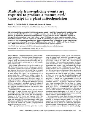 Multiple Trans-Splicing Events Are Required to Produce a Mature Nadl Transcript in a Plant Mitochondrion