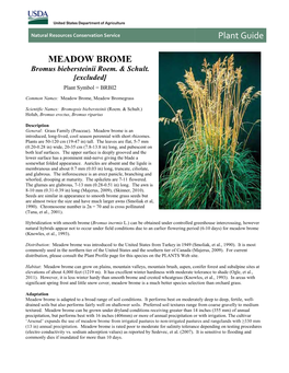 Plant Guide for Meadow Brome (Bromus Biebersteinii)