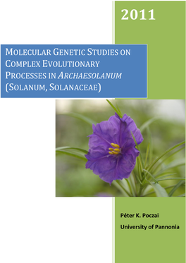 Molecular Genetic Studies on Complex Evolutionary Processes in Archaesolanum (Solanum, Solanaceae)