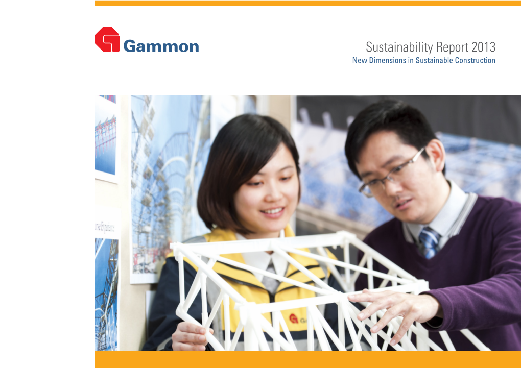 Sustainability Report 2013