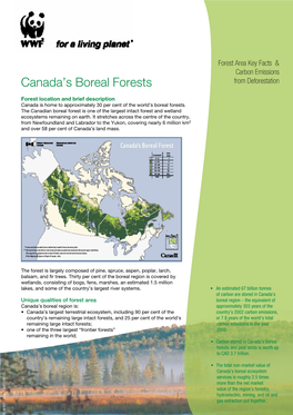 Canada's Boreal Forests