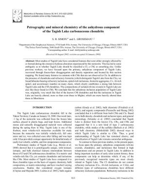 Petrography and Mineral Chemistry of the Anhydrous Component of the Tagish Lake Carbonaceous Chondrite