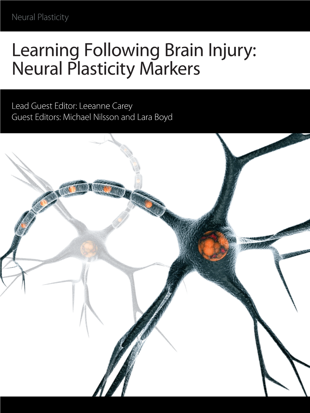 Learning Following Brain Injury: Neural Plasticity Markers