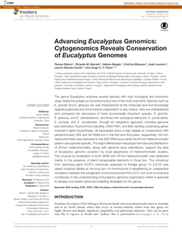 Advancing Eucalyptus Genomics: Cytogenomics Reveals Conservation of Eucalyptus Genomes