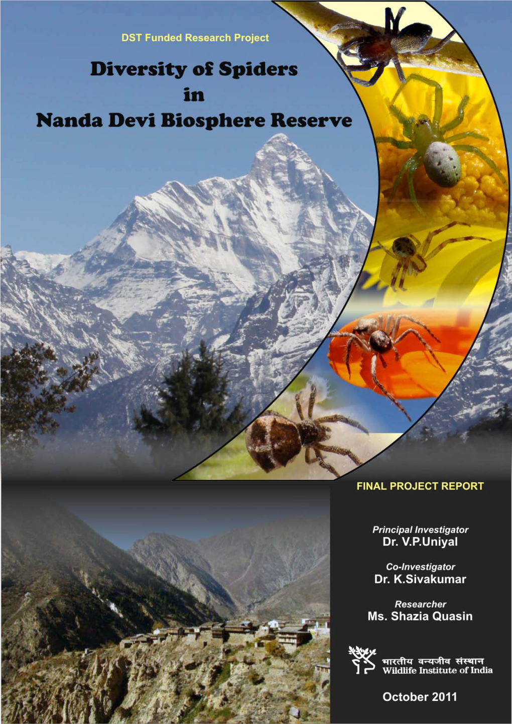 Diversity of Spiders in Nanda Devi Biosphere Reserve