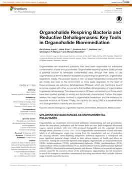 Organohalide Respiring Bacteria and Reductive Dehalogenases: Key Tools in Organohalide Bioremediation