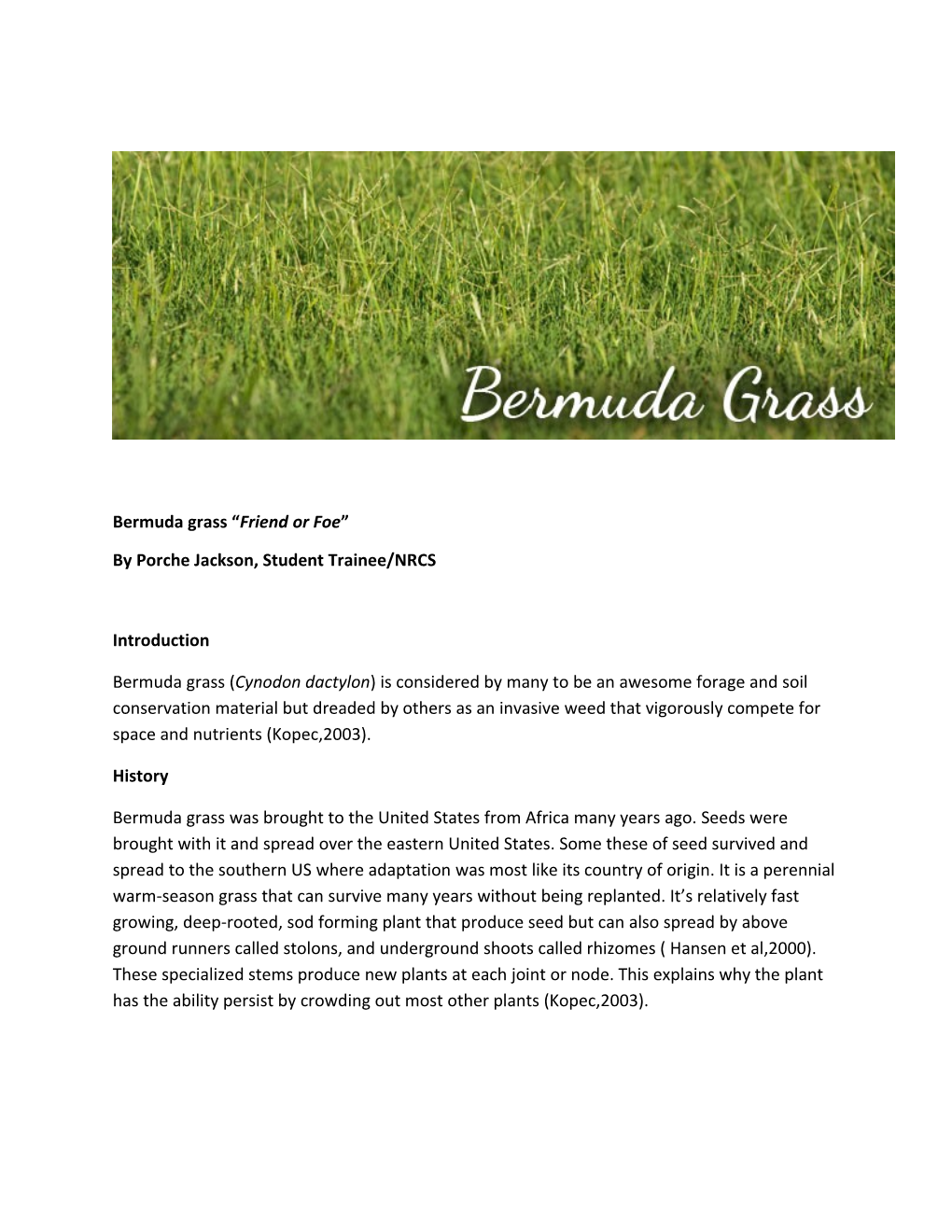 Bermuda Grass Friend Or Foe