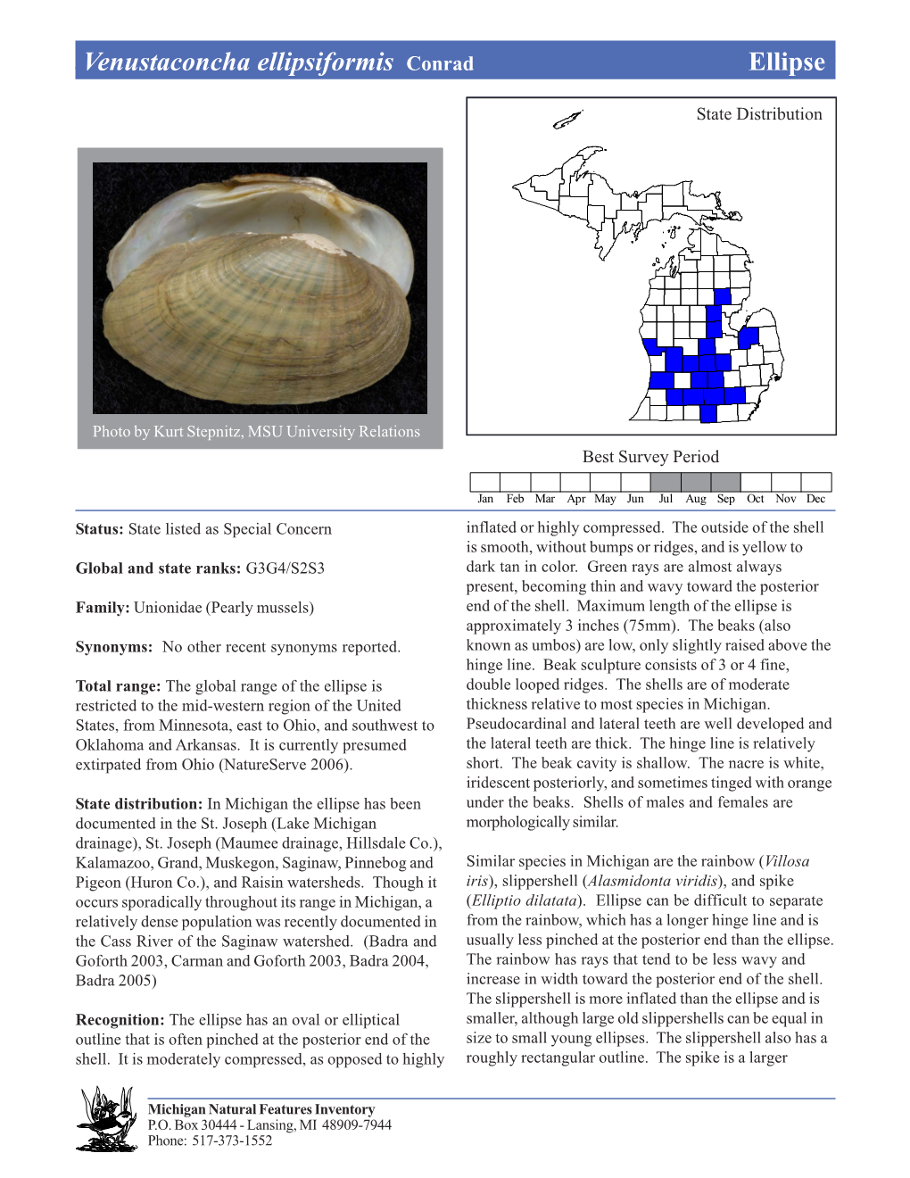 Venustaconcha Ellipsiformis Conrad Ellipse Ellipse, Page 1