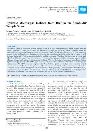 Epilithic Microalgae Isolated from Biofilm on Borobudur Temple Stone