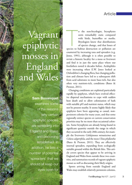 Vagrant Epiphytic Mosses in England and Wales