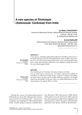 A New Species of Tricholepis (Asteraceae: Cardueae) from India