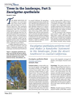 Trees in the Landscape, Part 2: Eucalyptus Spathulata Donald R