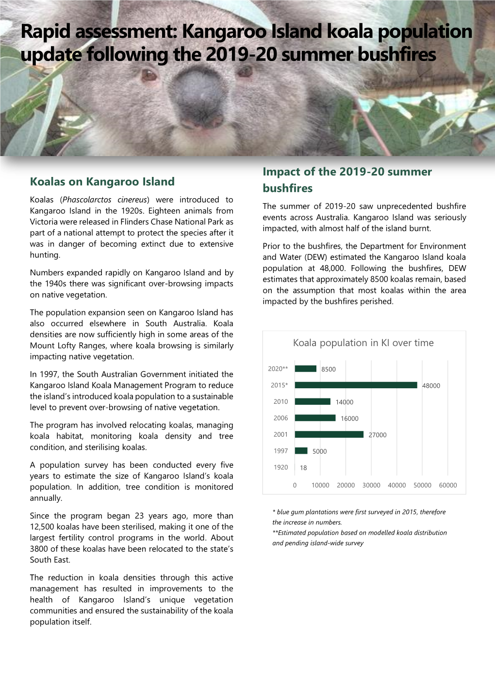 Rapid Assessment: Kangaroo Island Koala Population Update Following the 2019-20 Summer Bushfires