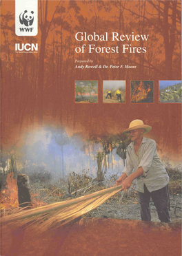 Global Review of Forest Fires Prepared by Andy Rowell and Dr