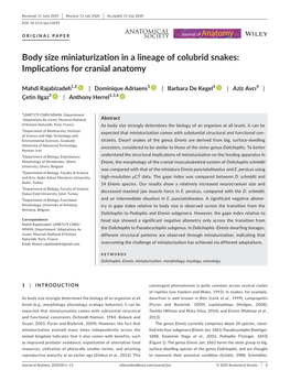 Body Size Miniaturization in a Lineage of Colubrid Snakes: Implications for Cranial Anatomy