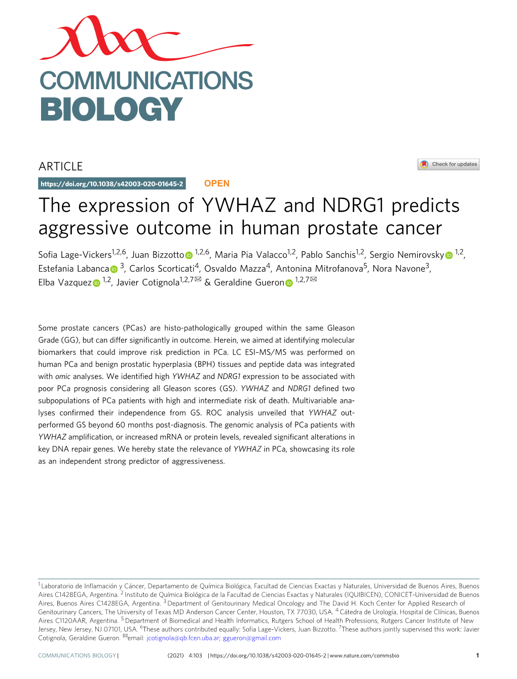 The Expression of YWHAZ and NDRG1 Predicts Aggressive Outcome in Human Prostate Cancer