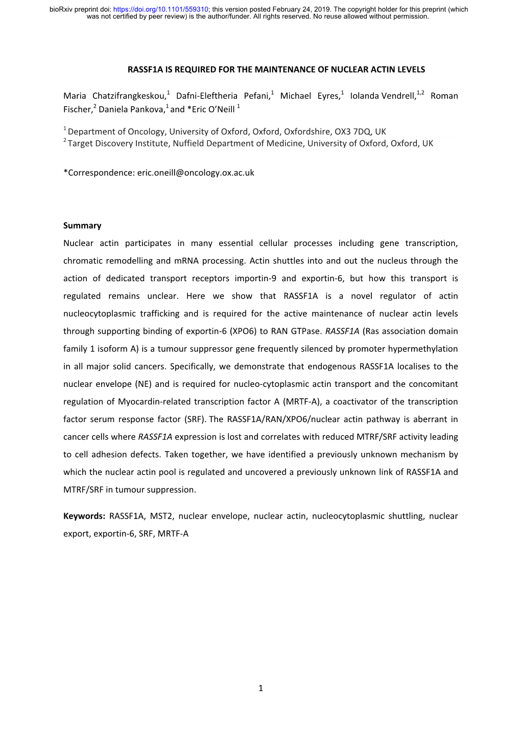 Rassf1a Is Required for the Maintenance of Nuclear Actin Levels