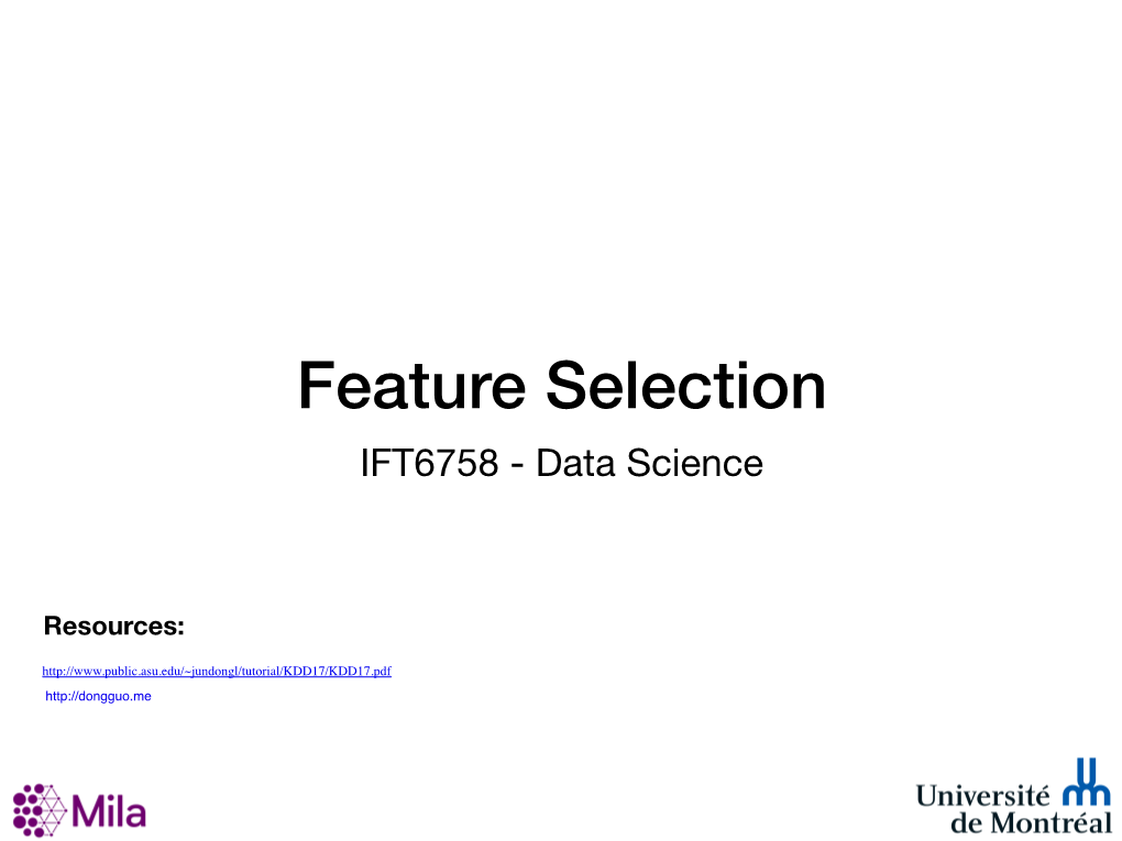 Feature Selection IFT6758 - Data Science