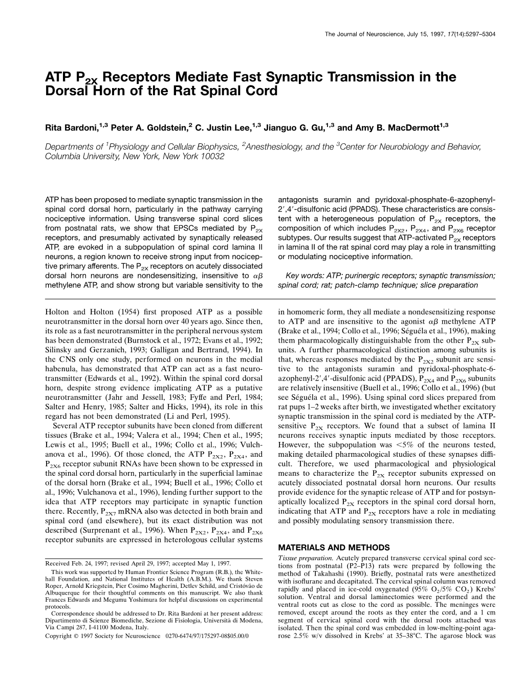 ATP P2X Receptors Mediate Fast Synaptic Transmission in the Dorsal Horn of the Rat Spinal Cord