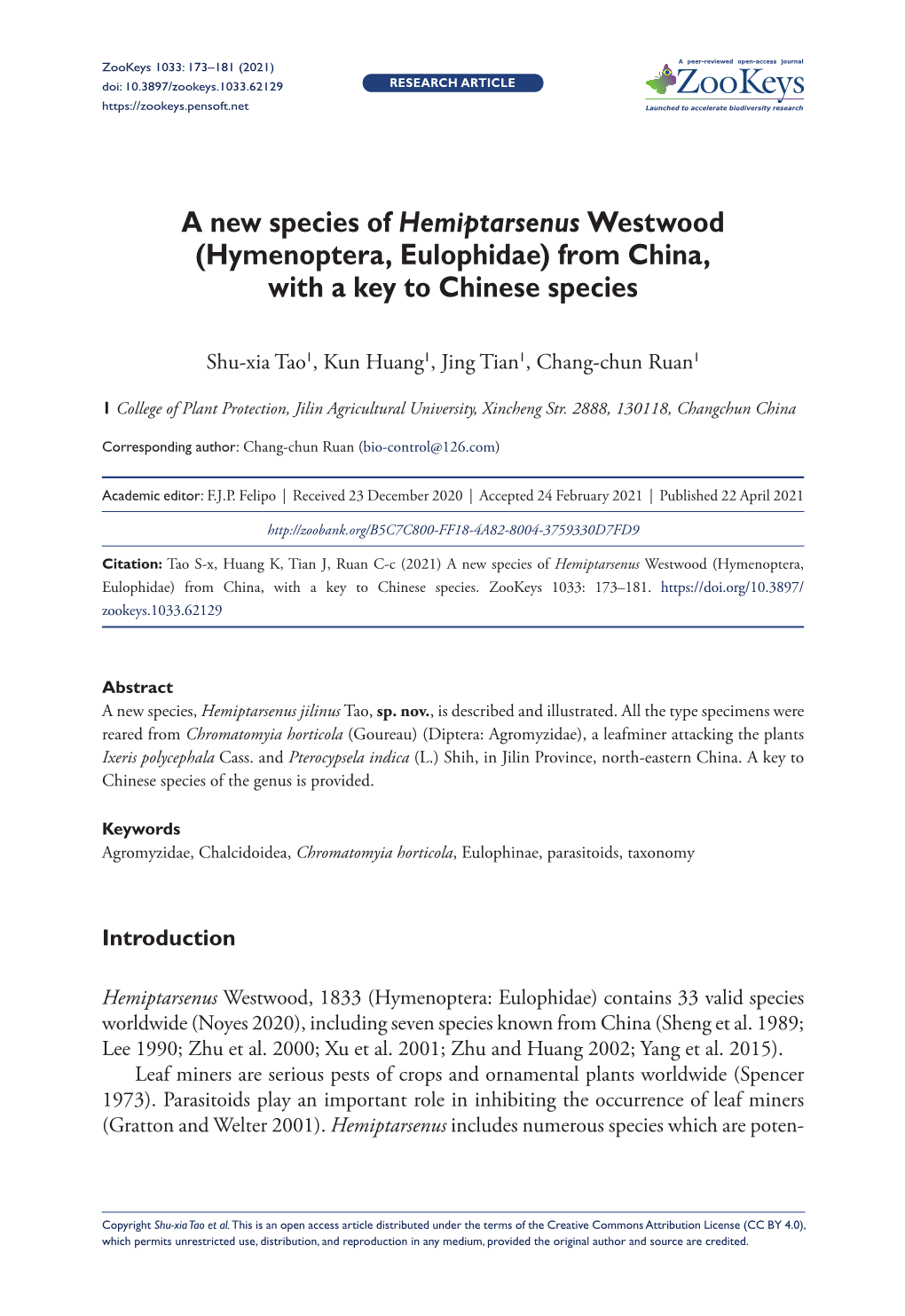 A New Species of Hemiptarsenus Westwood (Hymenoptera, Eulophidae) from China, with a Key to Chinese Species