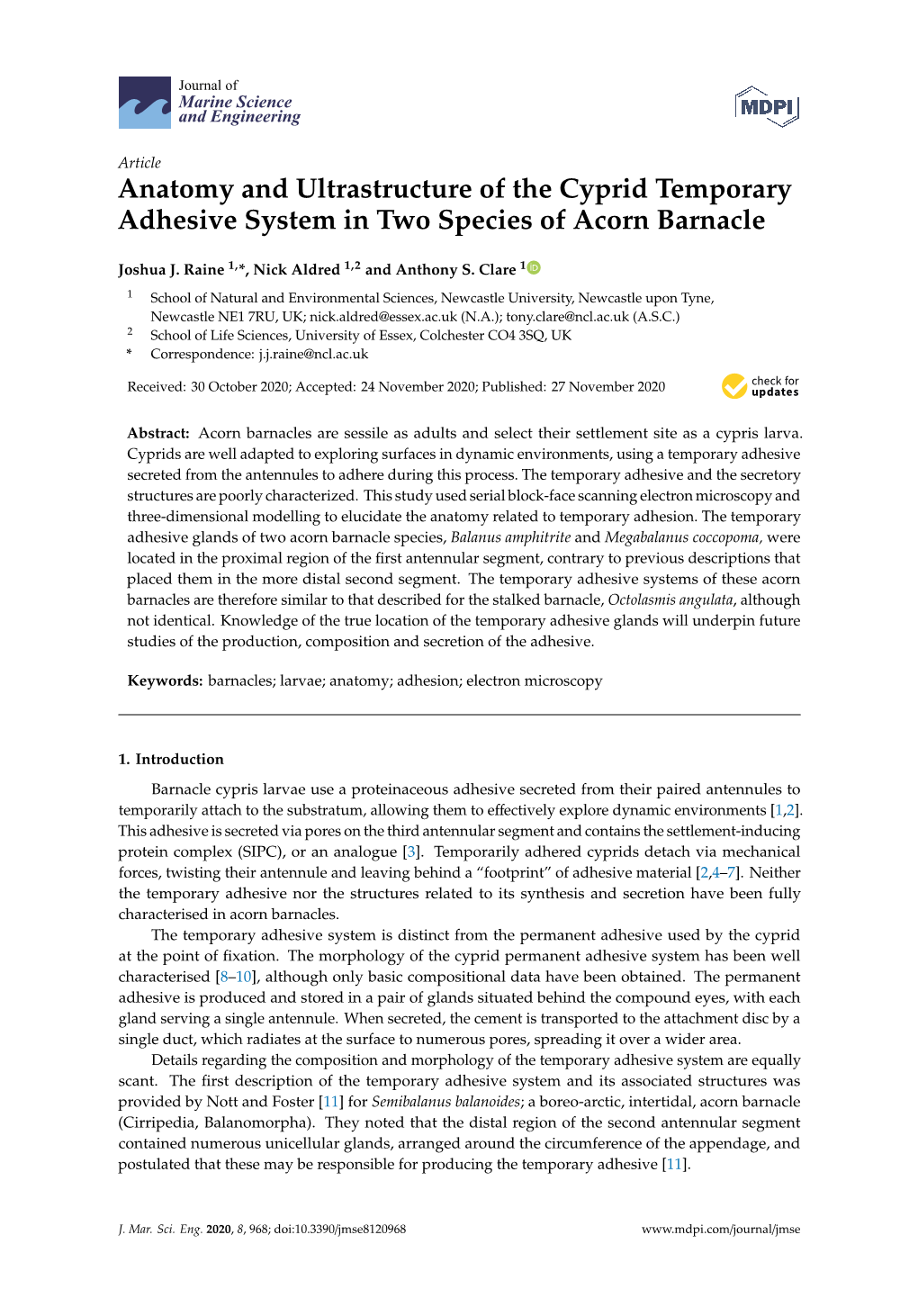 Anatomy and Ultrastructure of the Cyprid Temporary Adhesive System in Two Species of Acorn Barnacle