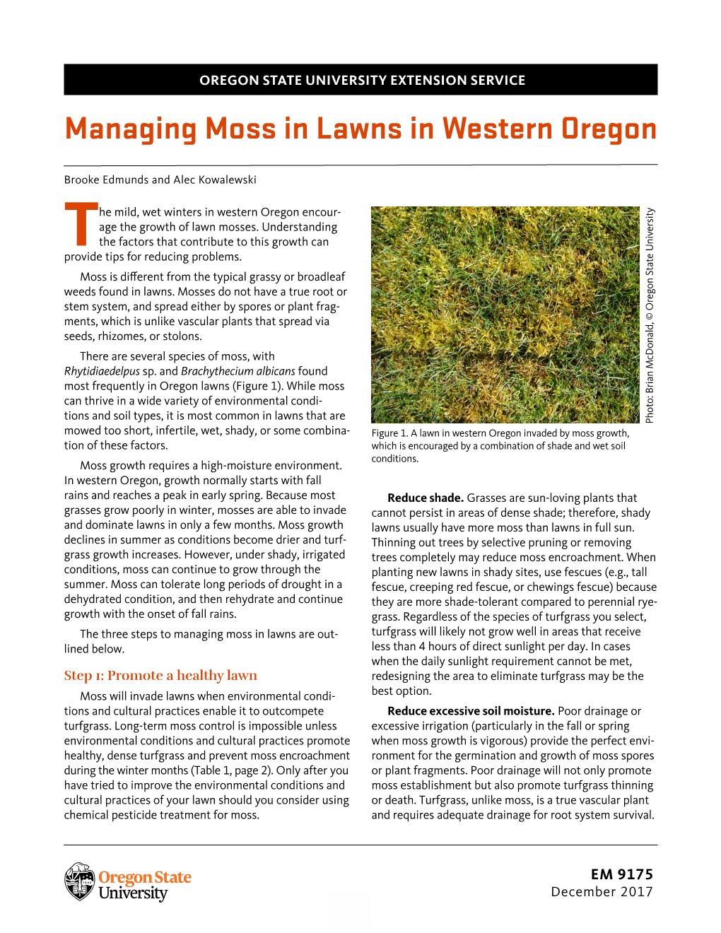 Managing Moss in Lawns in Western Oregon