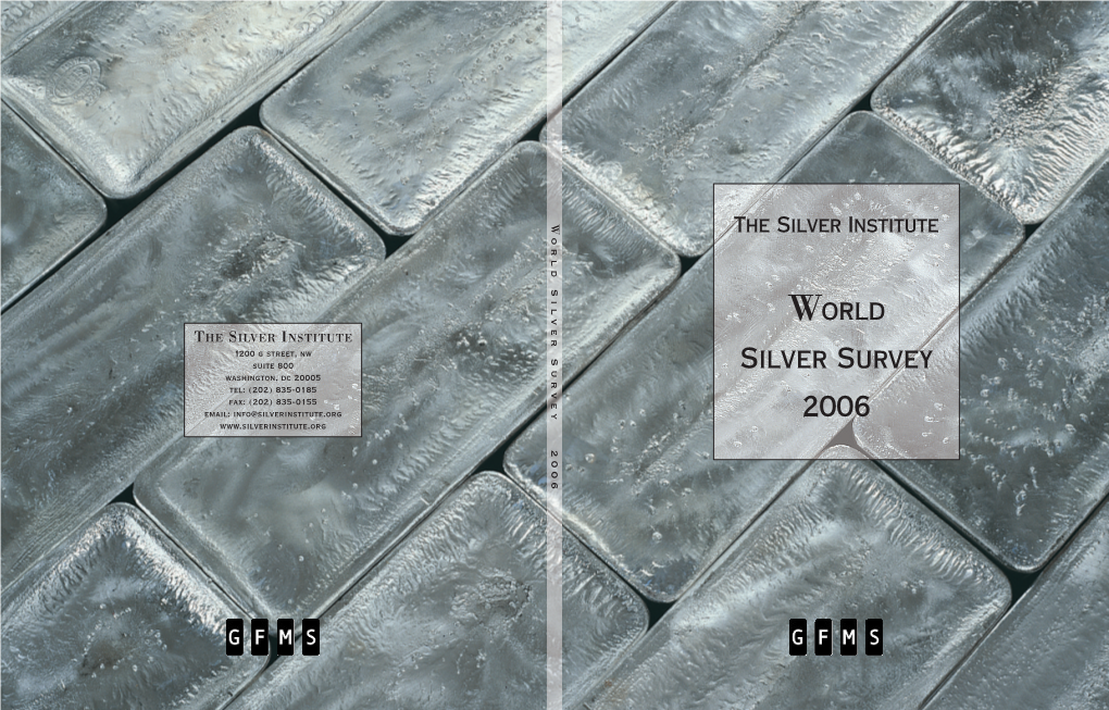 2006 World Silver Survey