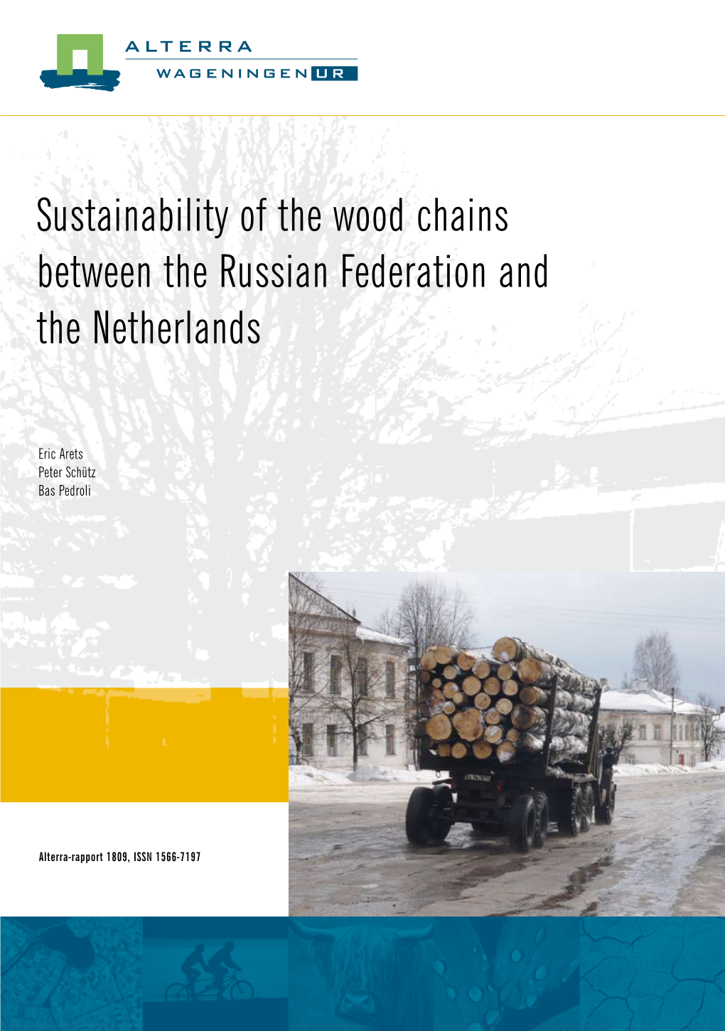 Sustainability of the Wood Chains Between the Russian Federation and the Netherlands