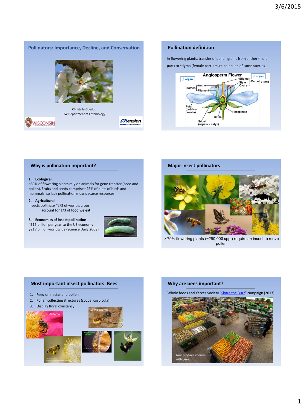 Pollinators: Importance, Decline, and Conservation Pollination Definition