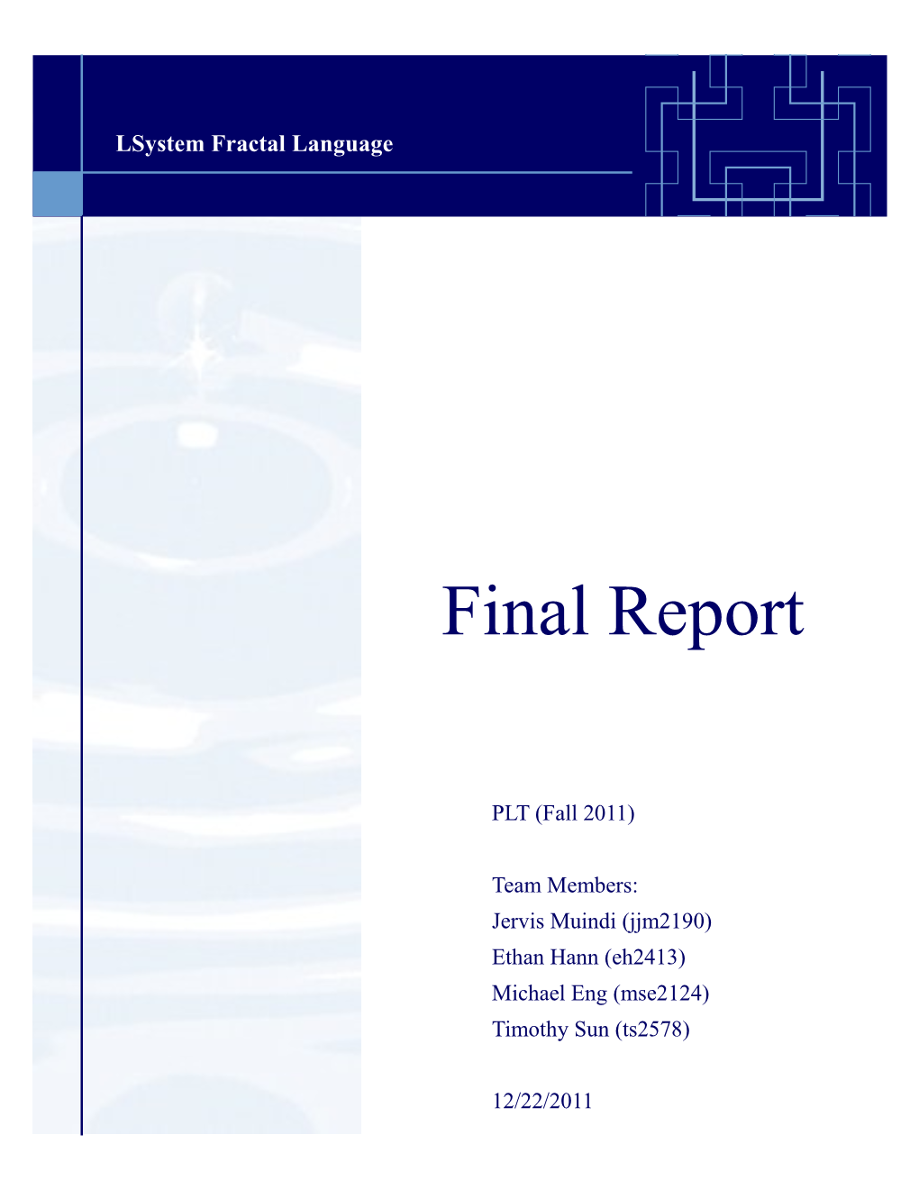 Final Report