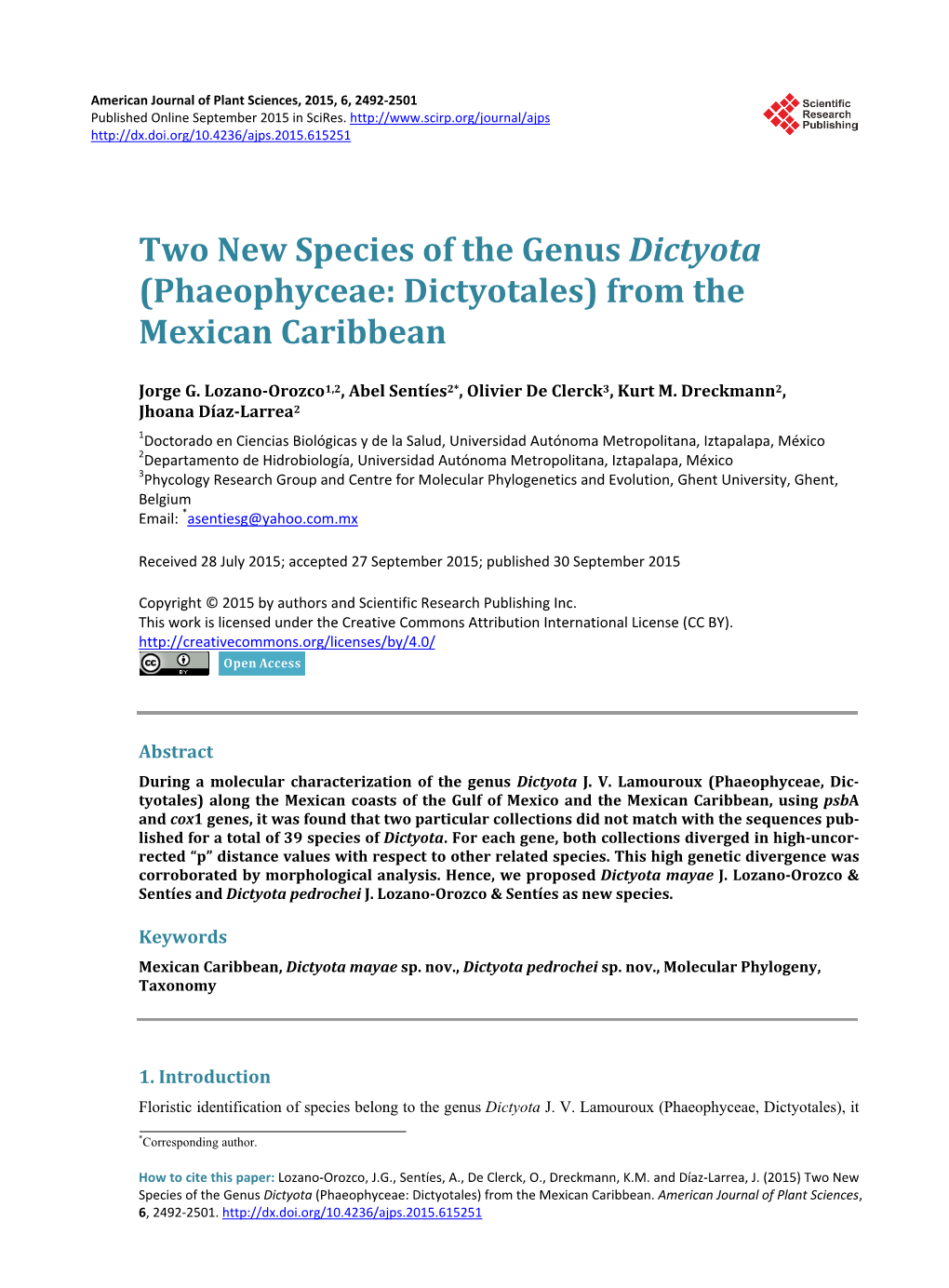 Two New Species of the Genus Dictyota (Phaeophyceae: Dictyotales) from the Mexican Caribbean