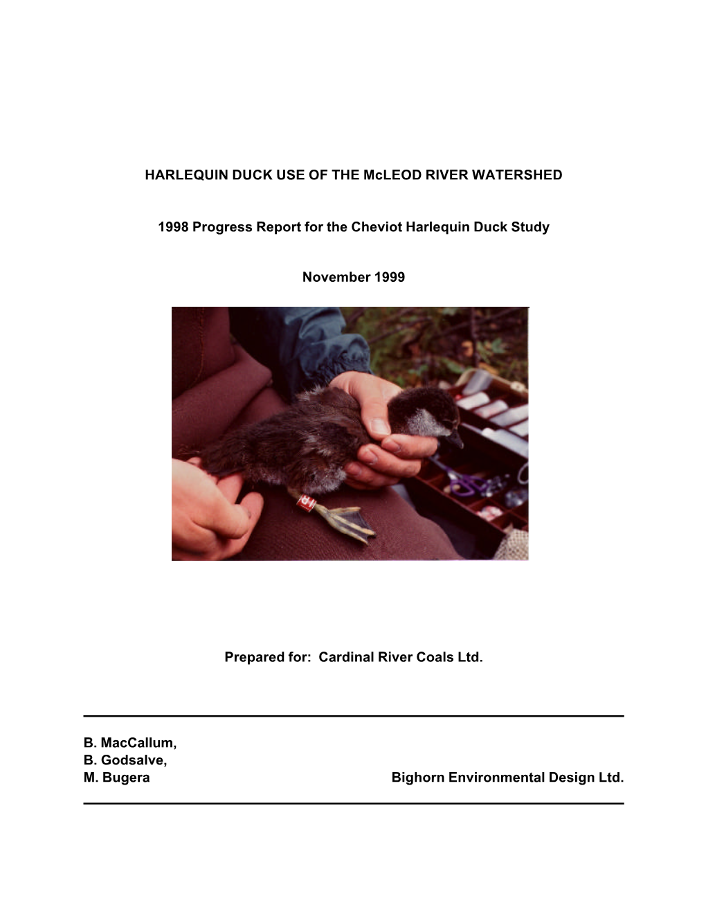 HARLEQUIN DUCK USE of the Mcleod RIVER WATERSHED 1998 Progress Report for the Cheviot Harlequin Duck Study November 1999 Prepare