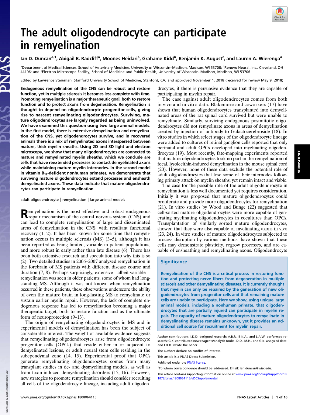 The Adult Oligodendrocyte Can Participate in Remyelination