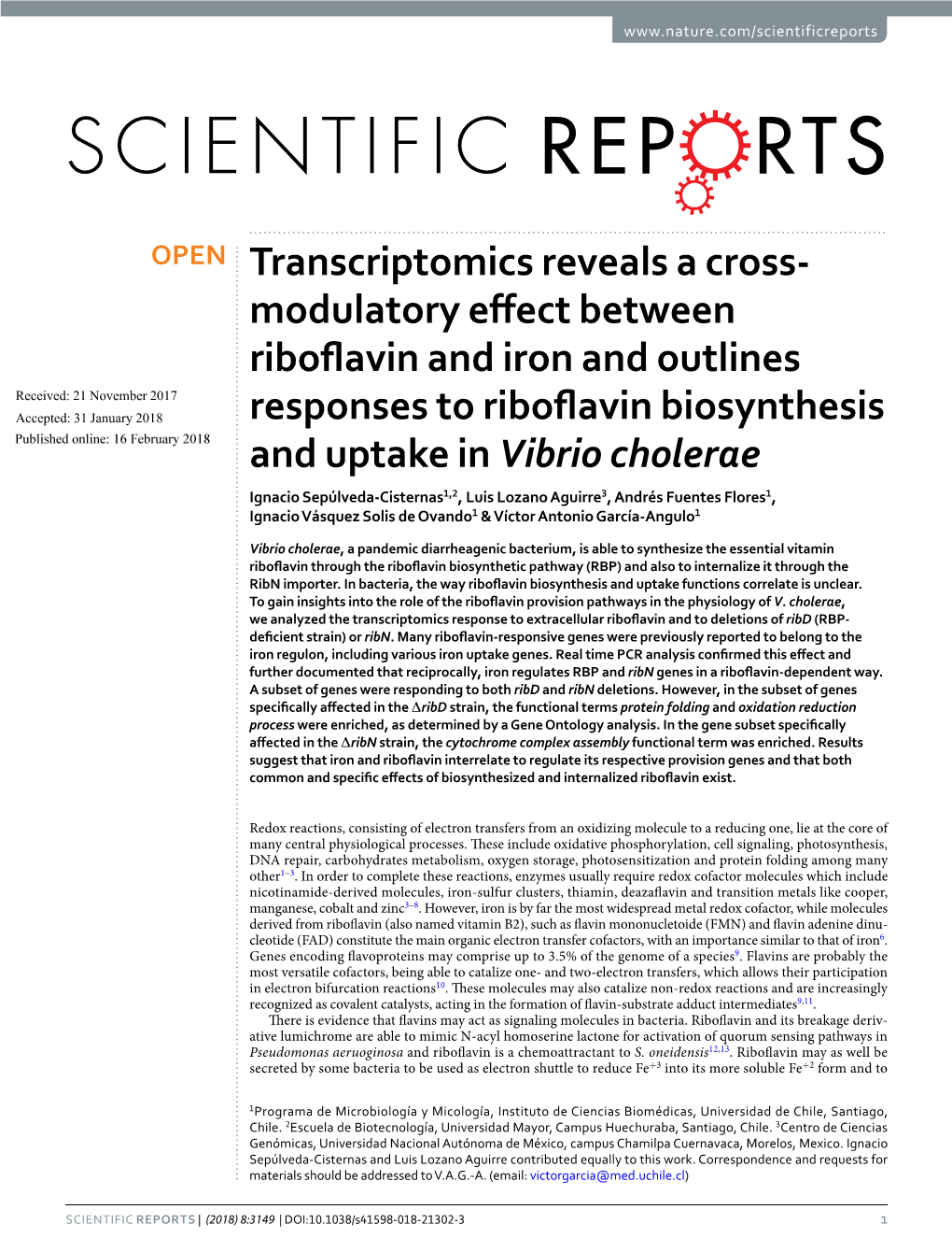 Modulatory Effect Between Riboflavin and Iron and Outlines Responses To