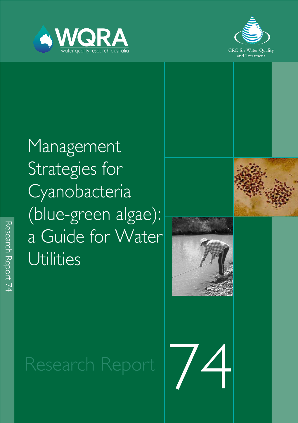 Management Strategies for Cyanobacteria (Blue-Green Algae): a Guide for Water Utilities