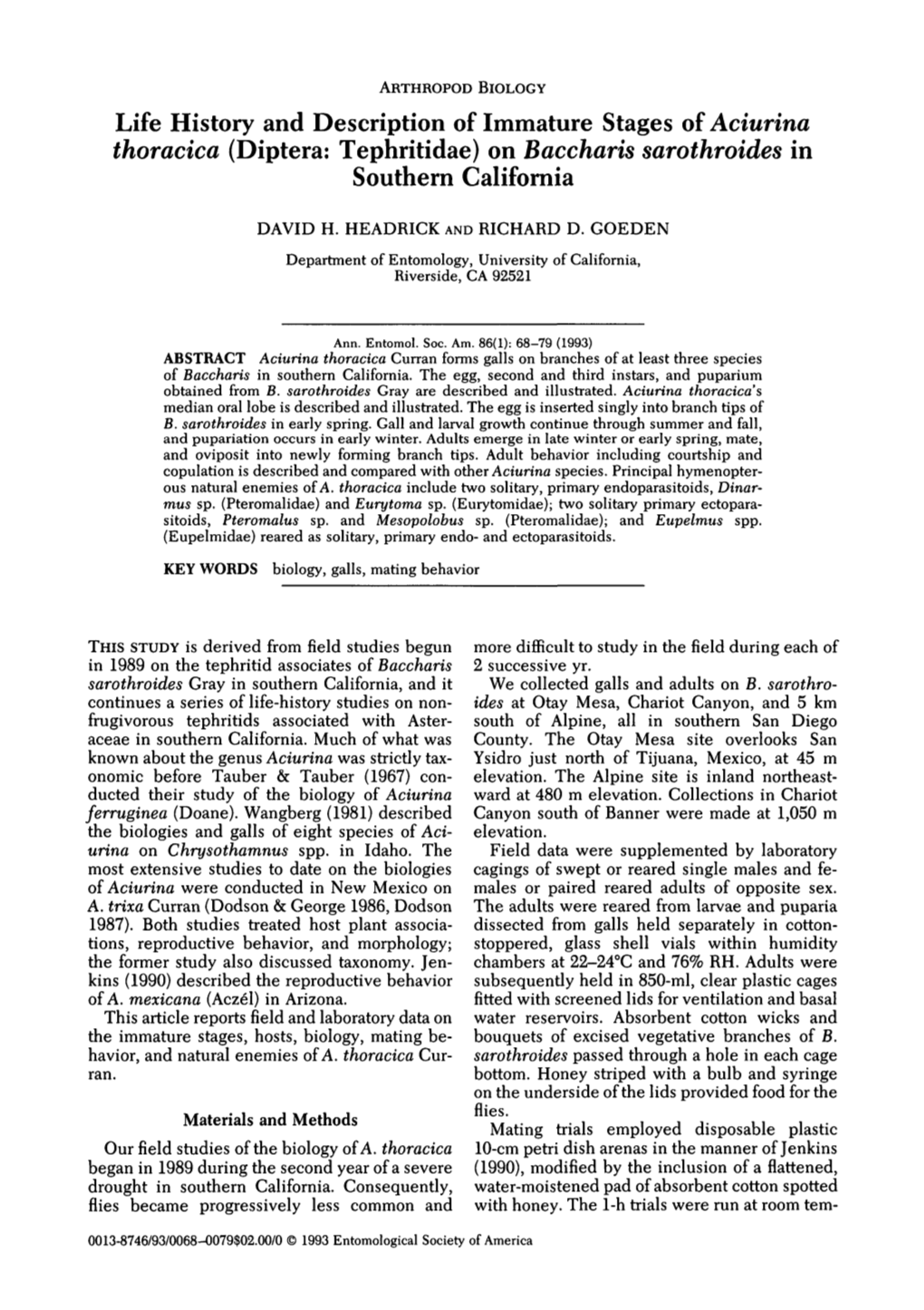 Life History and Description of Immature Stages of Aciurina Thoracica (Diptera: Tephritidae) on Baccharis Sarothroides in Southern California