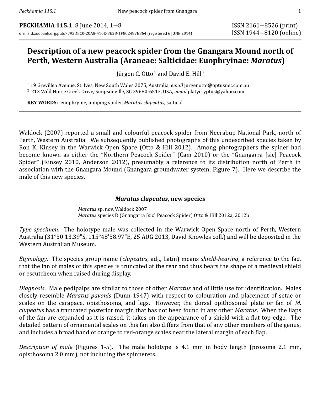 Description of a New Peacock Spider from the Gnangara Mound North of Perth, Western Australia (Araneae: Salticidae: Euophryinae: Maratus) Jürgen C