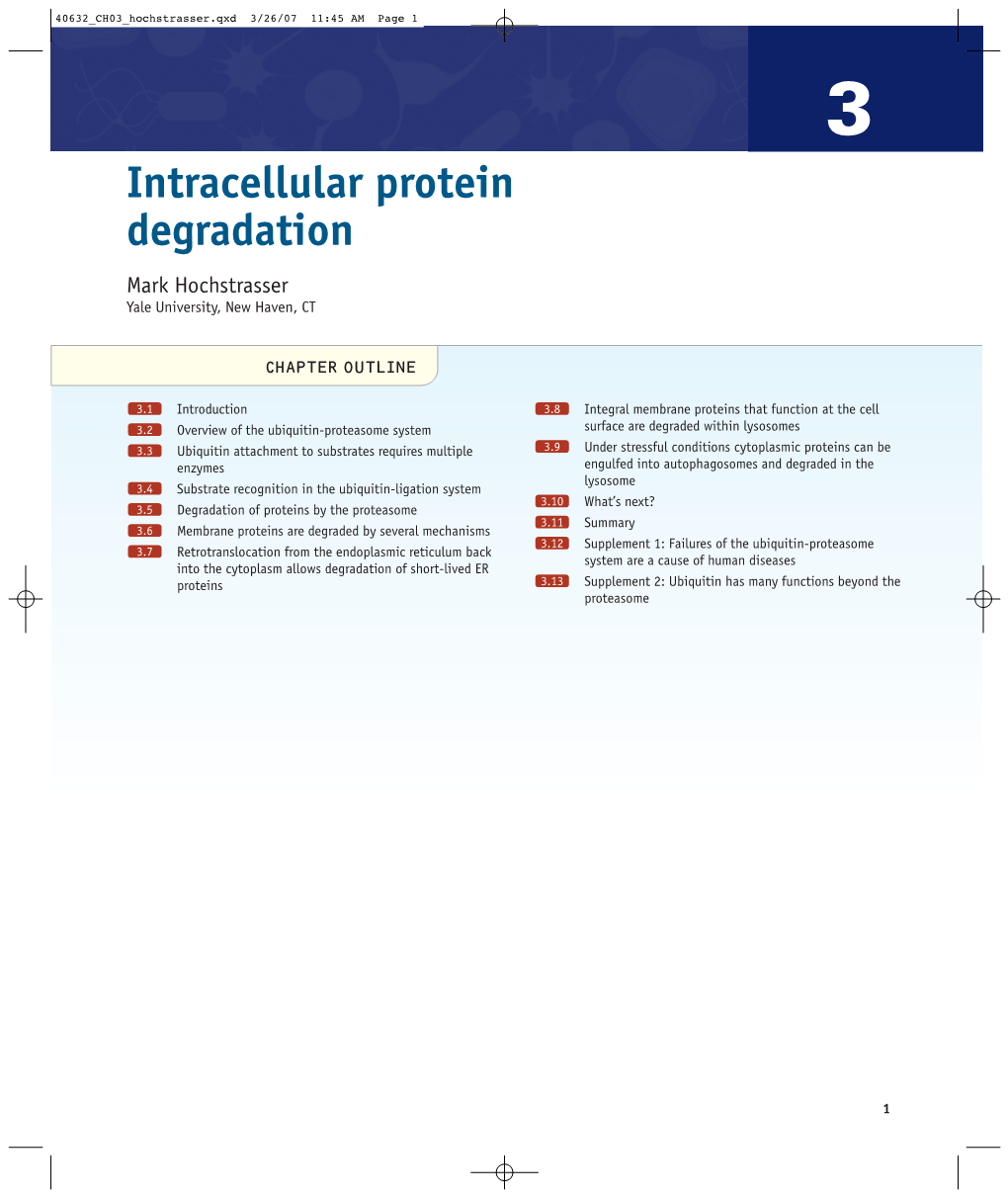 Intracellular Protein Degradation Mark Hochstrasser Yale University, New Haven, CT